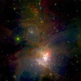 The Orion nebula