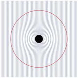 Monolithic collapse of a weakly magnetized cloud to form black holes