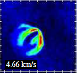 Unveiling the gas and dust disk structure in HD163296 using ALMA observations