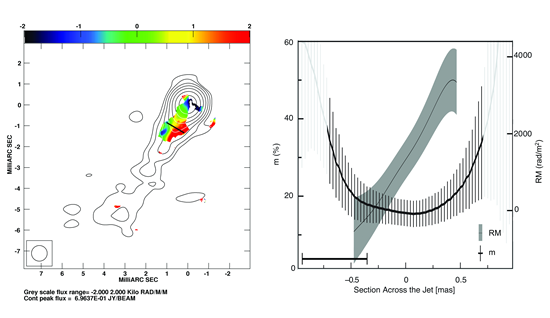 Rotation measure gradient in 3C 216
