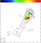 Rotation measure gradient in 3C 216