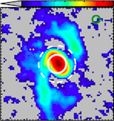 The role of molecular gas in suppressing star formation in galaxies